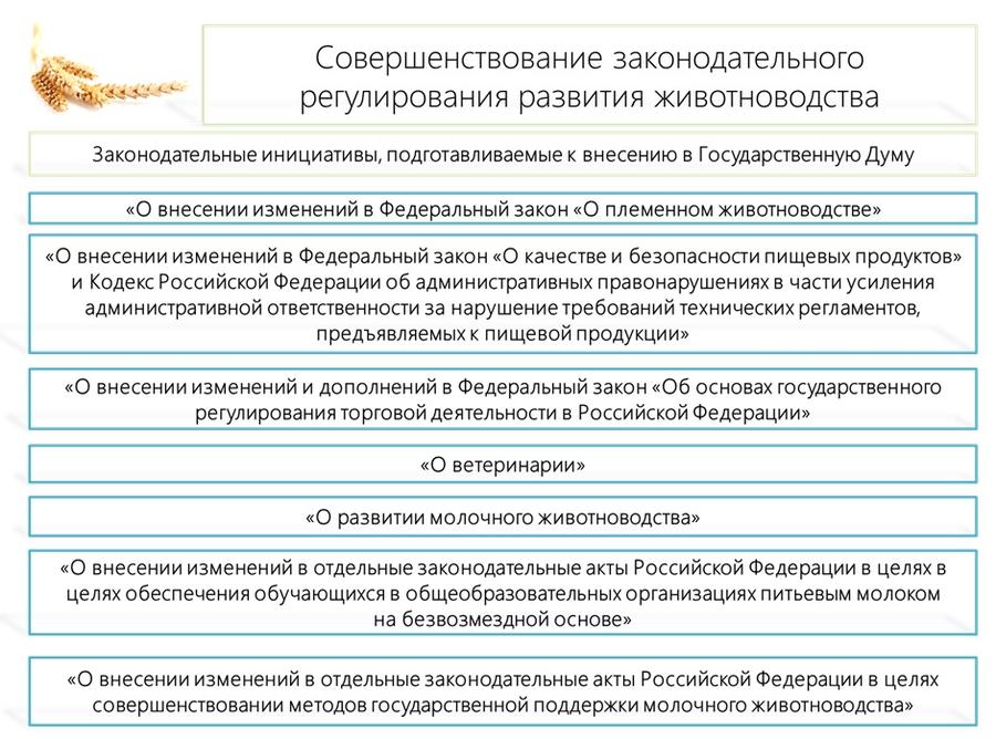 В.И. Кашин: Продовольственной безопасности особое внимание