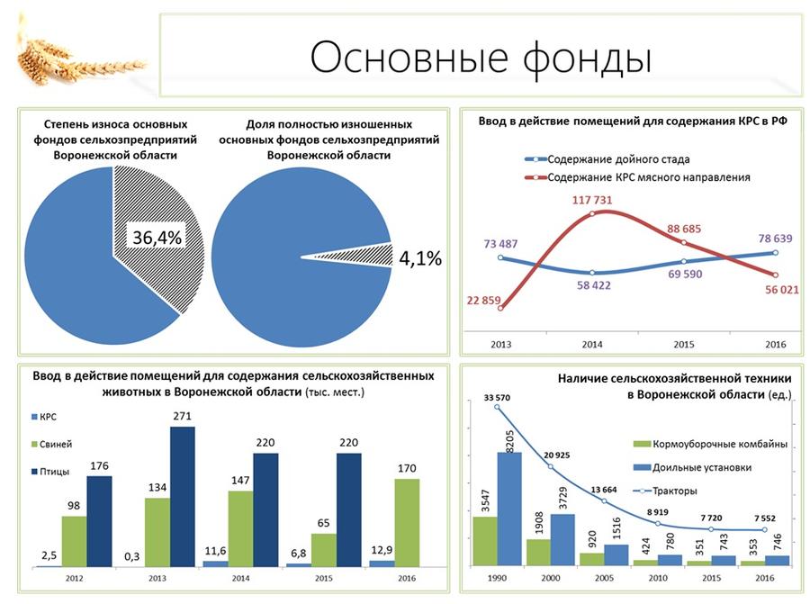В.И. Кашин: Продовольственной безопасности особое внимание