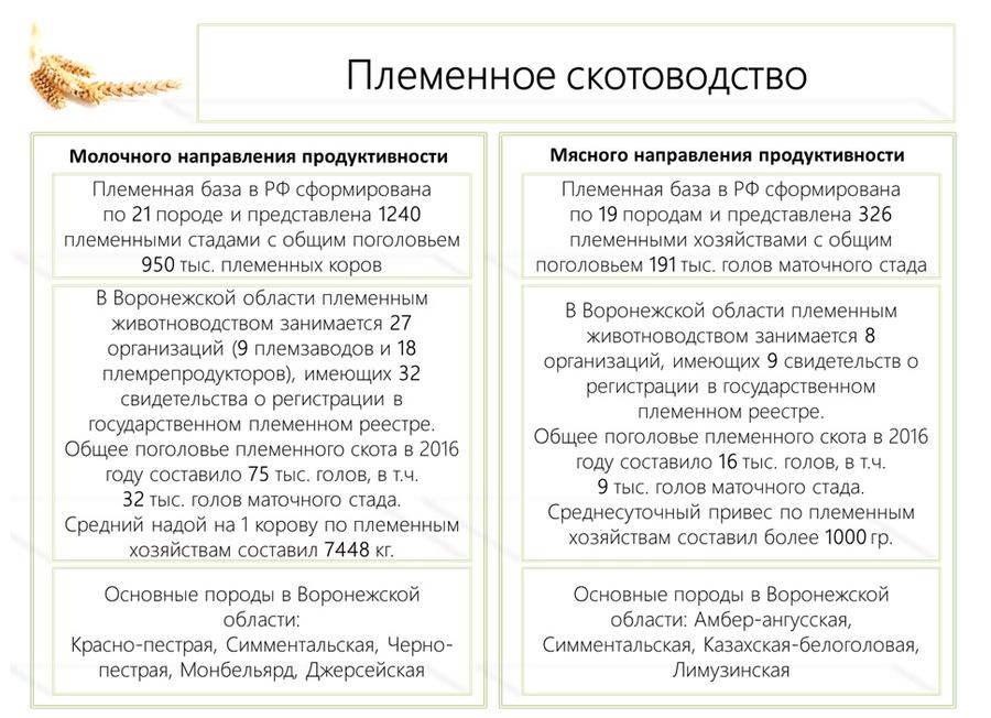 В.И. Кашин: Продовольственной безопасности особое внимание