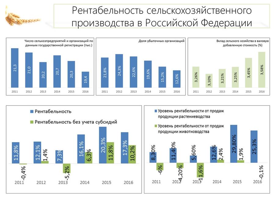 В.И. Кашин: Продовольственной безопасности особое внимание