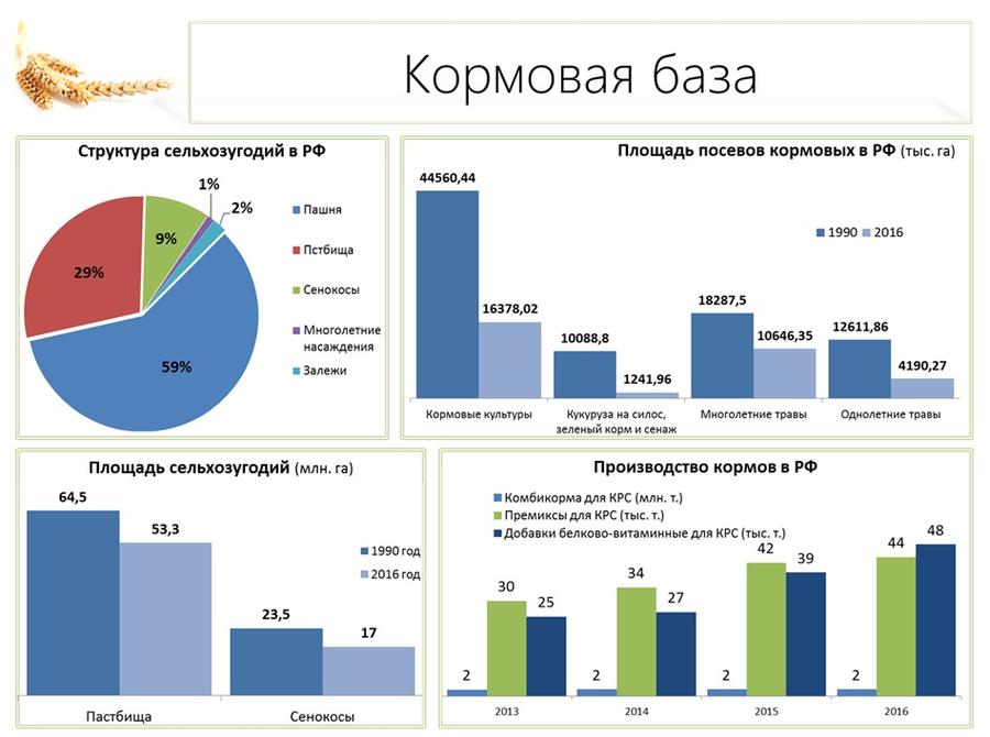 В.И. Кашин: Продовольственной безопасности особое внимание