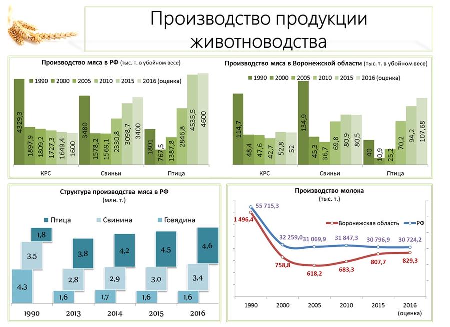 В.И. Кашин: Продовольственной безопасности особое внимание
