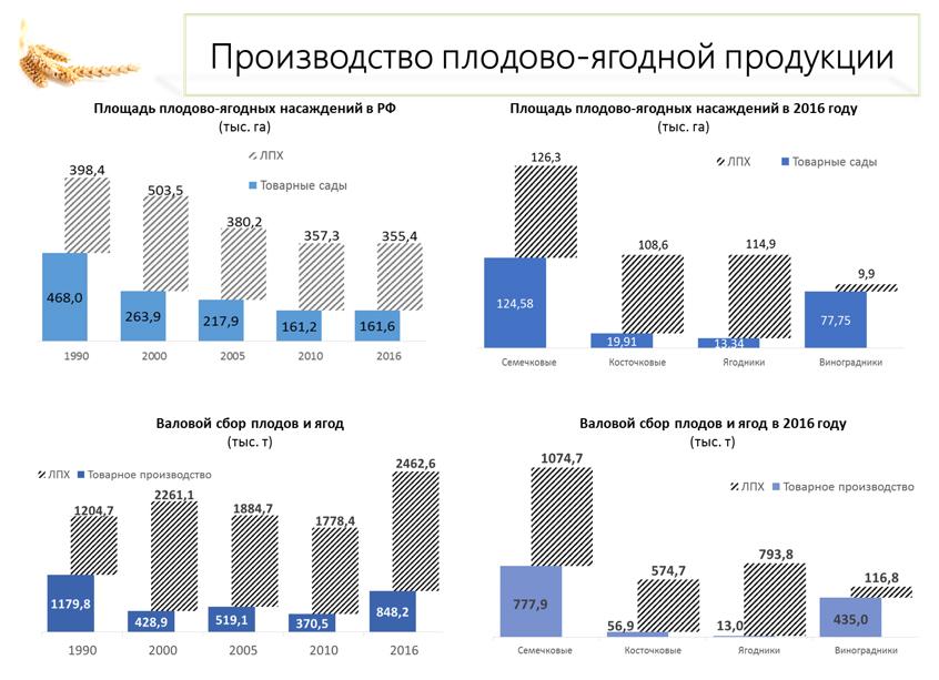 В.И. Кашин: Снижение ставки НДС на плоды, ягоды и виноград - важная и необходимая мера!