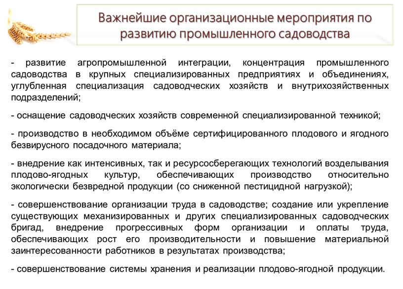 В.И. Кашин: Цветущему саду быть!