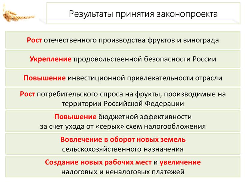 В.И. Кашин: Цветущему саду быть!