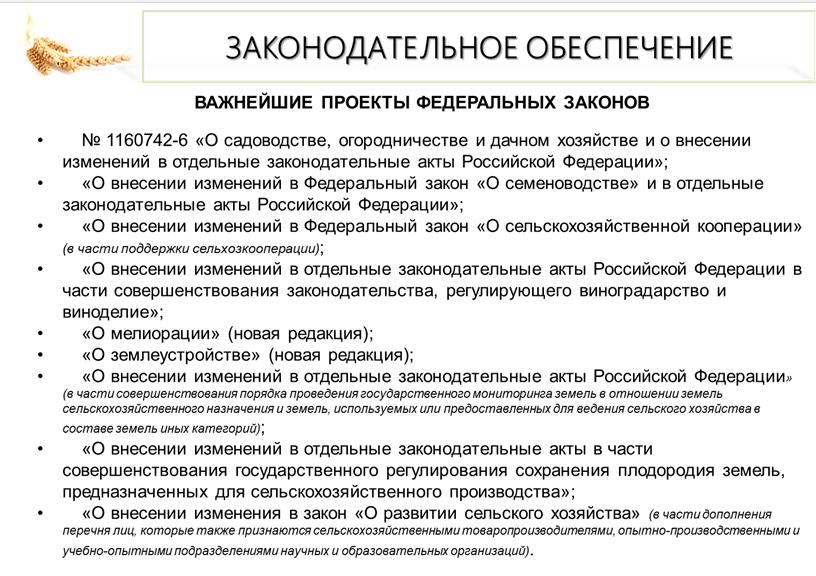 В.И. Кашин: Цветущему саду быть!