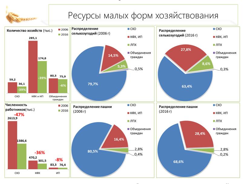 В.И. Кашин: Приоритет - системное развитие сельскохозяйственной кооперации
