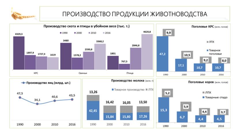 В.И. Кашин выступил на парламентских слушаниях в Госдуме на тему: «Правовые и социальные аспекты устойчивого развития сельских территорий»