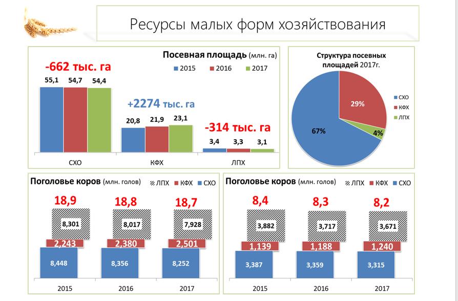 В.И. Кашин: Крестьянские (фермерские) хозяйства – опора развития АПК
