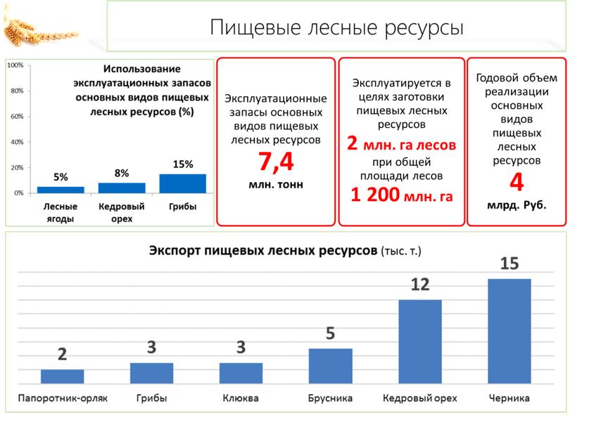 В.И. Кашин: «Качественному продовольствию – быть!»