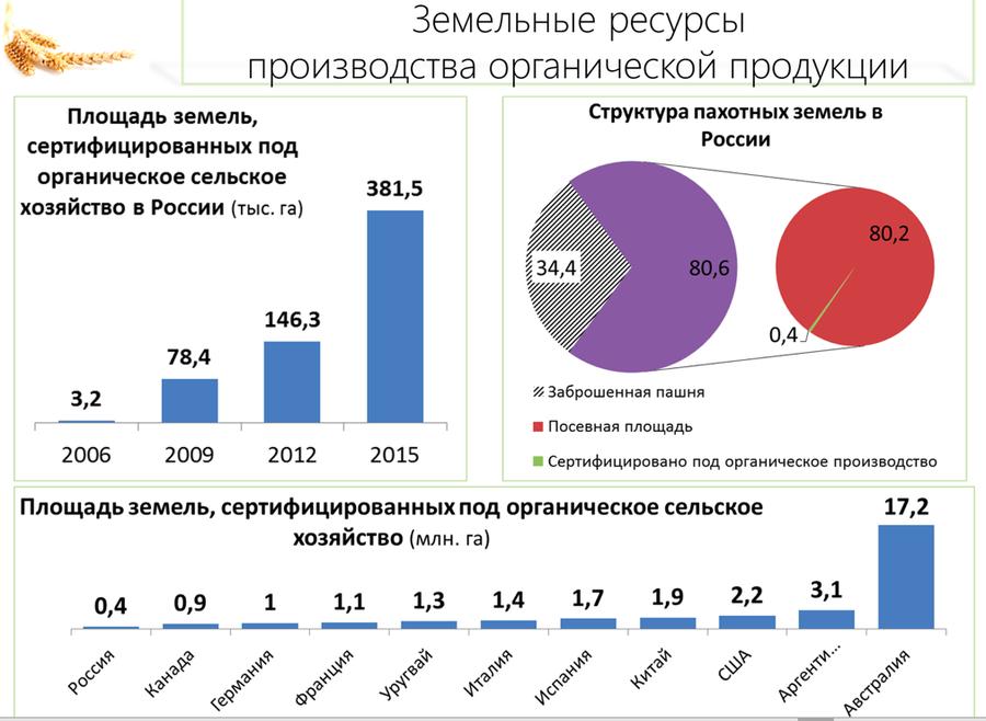 В.И. Кашин: «Качественному продовольствию – быть!»