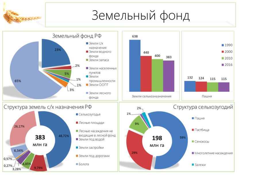В.И. Кашин: «Качественному продовольствию – быть!»