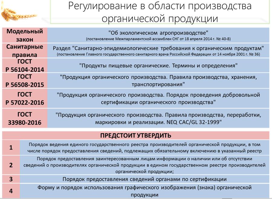В.И. Кашин: «Качественному продовольствию – быть!»