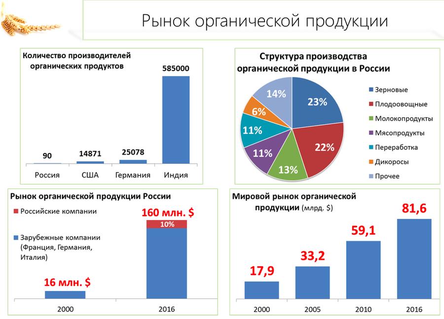 В.И. Кашин: «Качественному продовольствию – быть!»
