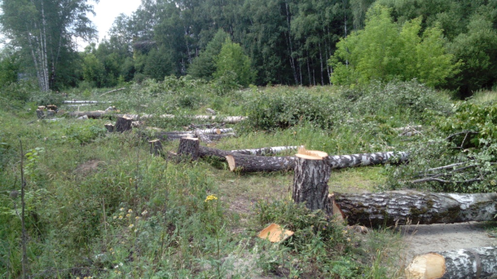 Варварский снос: исторические здания Метровагонмаша сносят ради жилой застройки