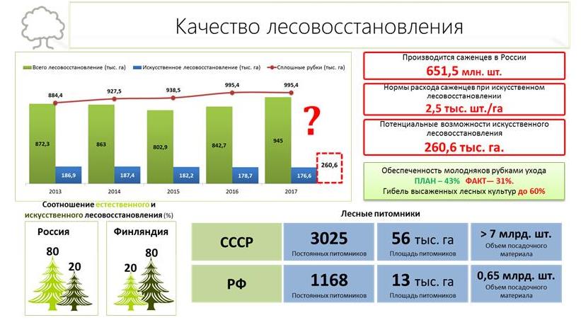 В.И. Кашин: Увидеть за деревьями лес