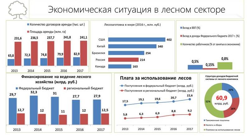 В.И. Кашин: Увидеть за деревьями лес
