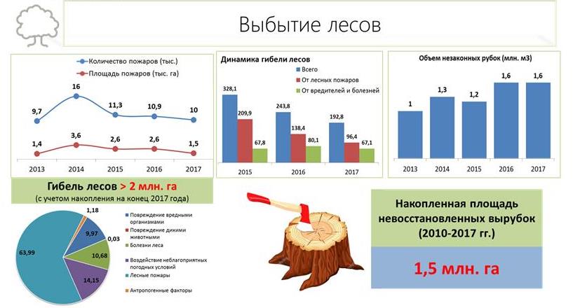 В.И. Кашин: Увидеть за деревьями лес