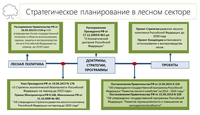 В.И. Кашин: Увидеть за деревьями лес