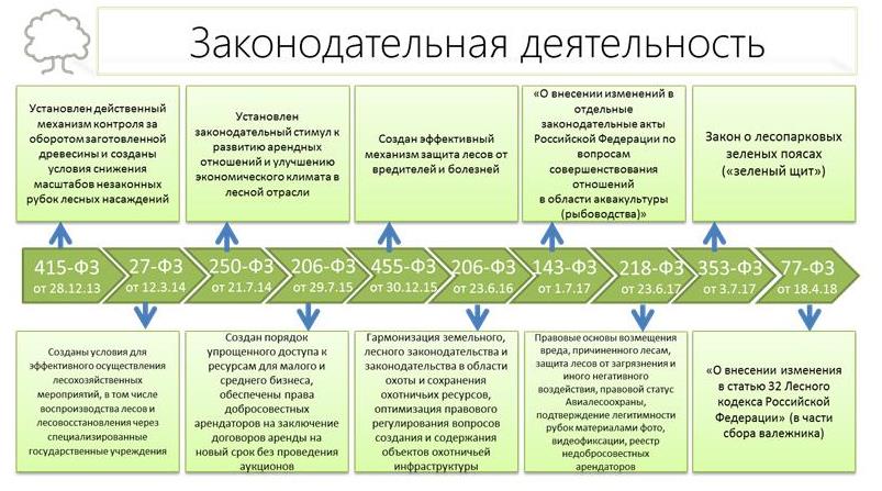 В.И. Кашин: Увидеть за деревьями лес