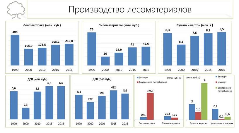 В.И. Кашин: Увидеть за деревьями лес