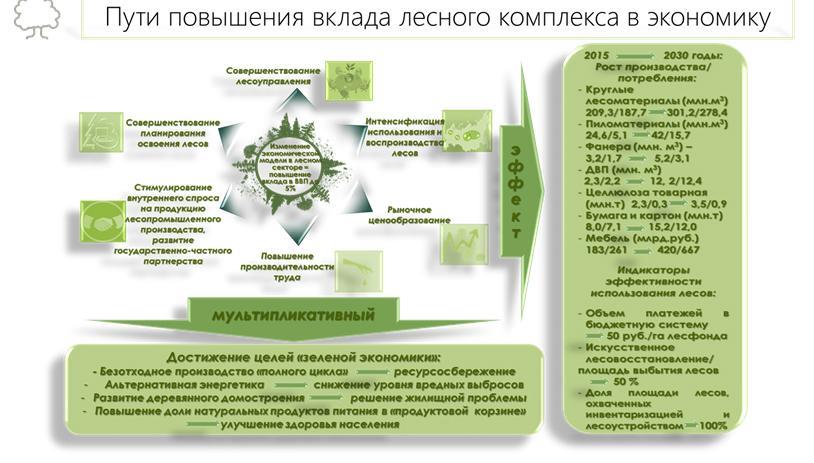 В.И. Кашин: Увидеть за деревьями лес