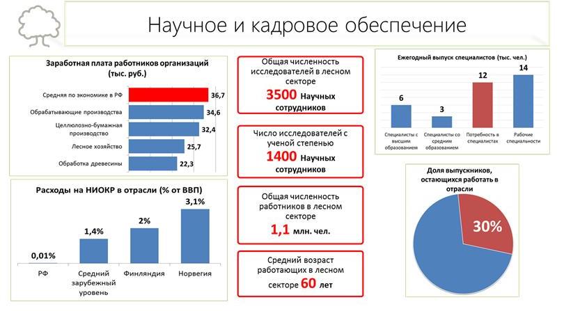 В.И. Кашин: Увидеть за деревьями лес