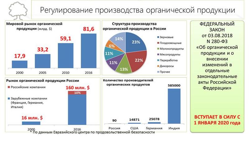 В.И. Кашин: Увидеть за деревьями лес