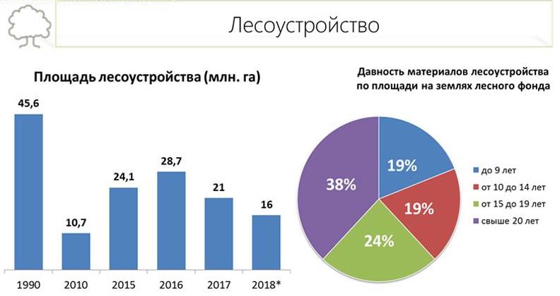 В.И. Кашин: Увидеть за деревьями лес