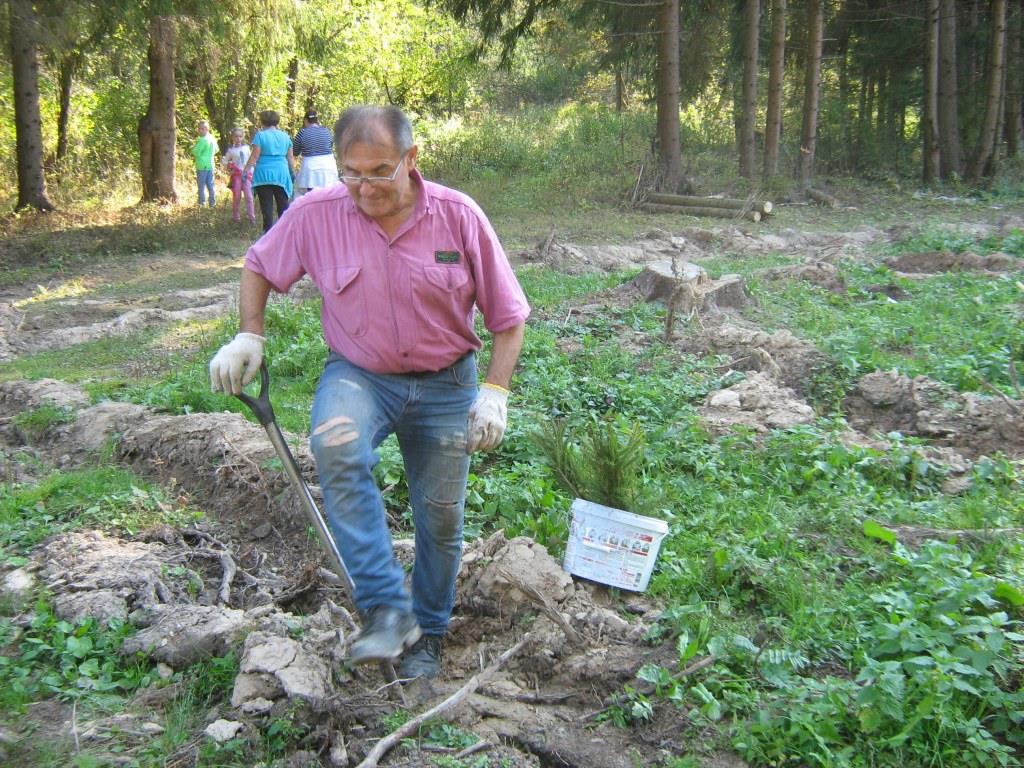 Наш лес