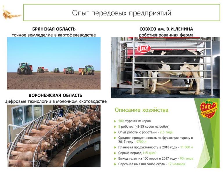 Доклад заместителя Председателя ЦК КПРФ В.И. Кашина