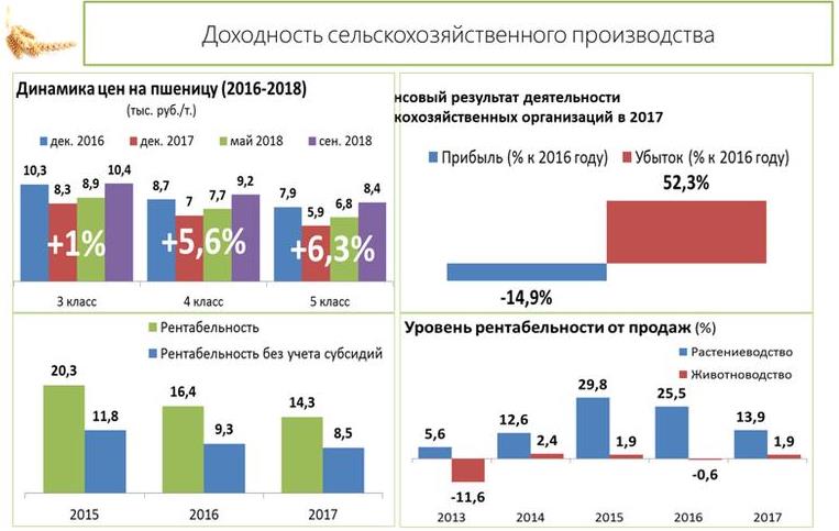 Доклад заместителя Председателя ЦК КПРФ В.И. Кашина