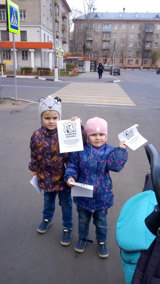 В Королёве продолжается борьба за «Белочку»