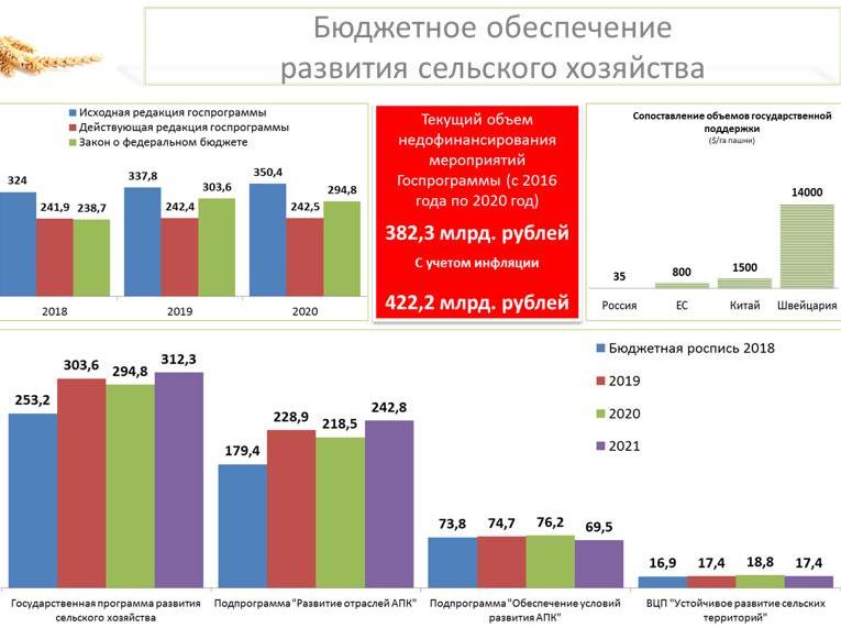Владимир Кашин: Вернуть долги российскому селу и полю!