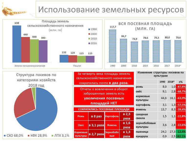 Владимир Кашин: Вернуть долги российскому селу и полю!