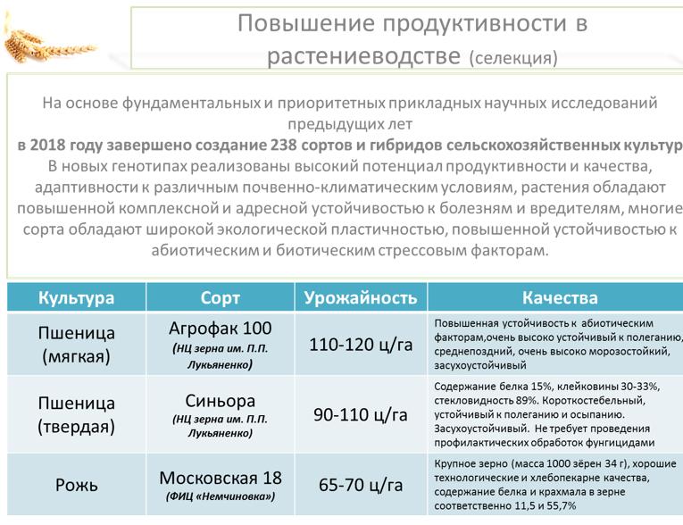 Владимир Кашин: Вернуть долги российскому селу и полю!