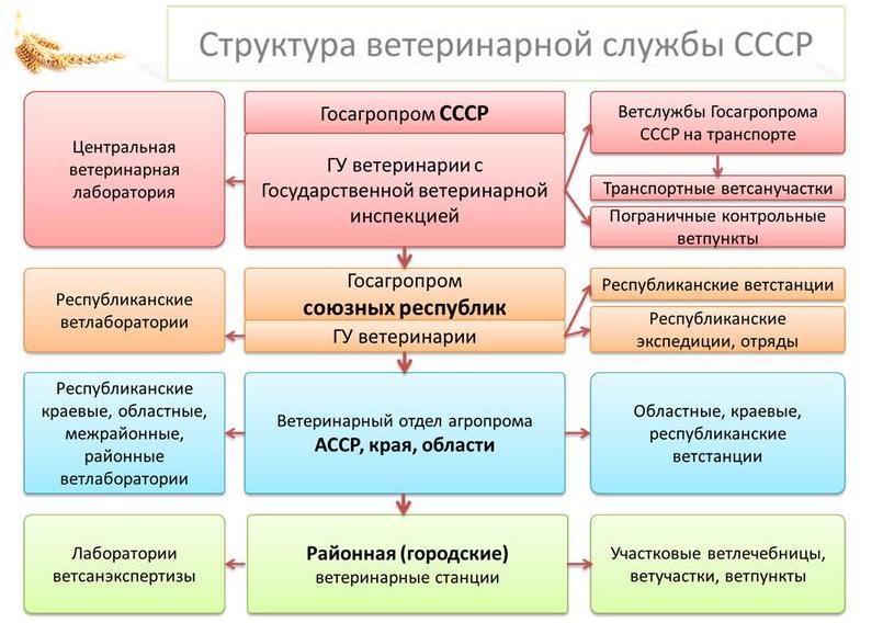 В.И. Кашин: Санитарно-эпидемиологическое благополучие – здоровье нации