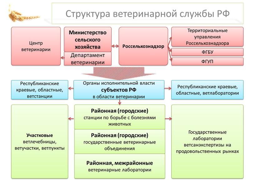В.И. Кашин: Санитарно-эпидемиологическое благополучие – здоровье нации