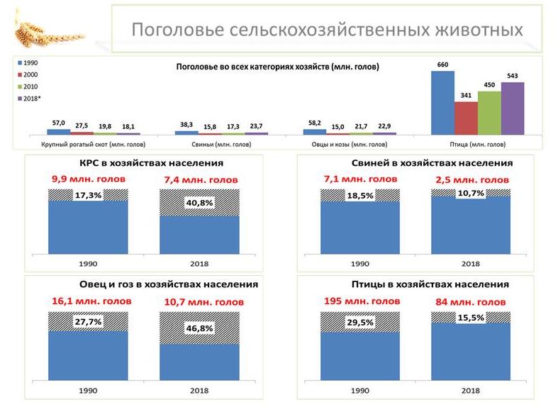 В.И. Кашин: Санитарно-эпидемиологическое благополучие – здоровье нации