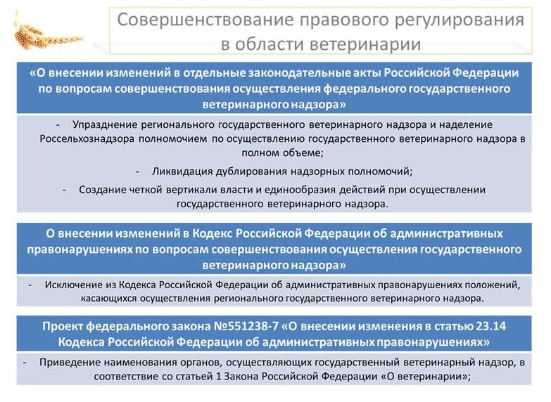 В.И. Кашин: Санитарно-эпидемиологическое благополучие – здоровье нации