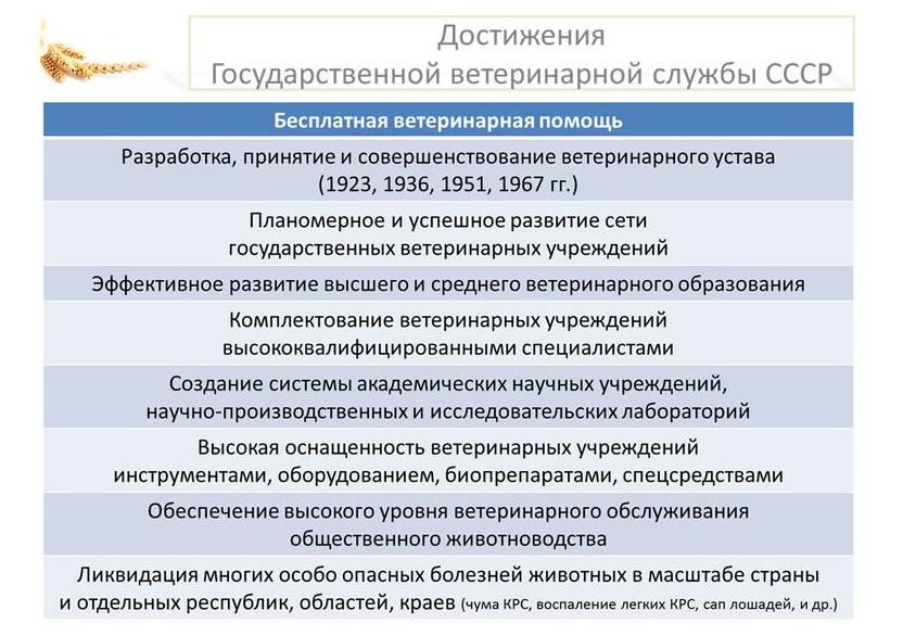В.И. Кашин: Санитарно-эпидемиологическое благополучие – здоровье нации