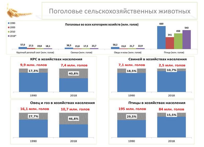 В.И. Кашин: Санитарно-эпидемиологическое благополучие – здоровье нации
