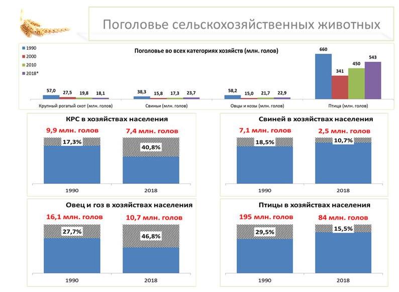 В.И. Кашин: Санитарно-эпидемиологическое благополучие – здоровье нации