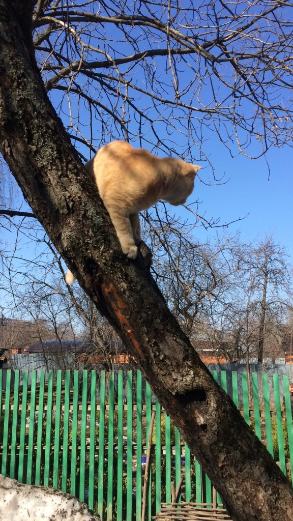 Субботник в Королёве