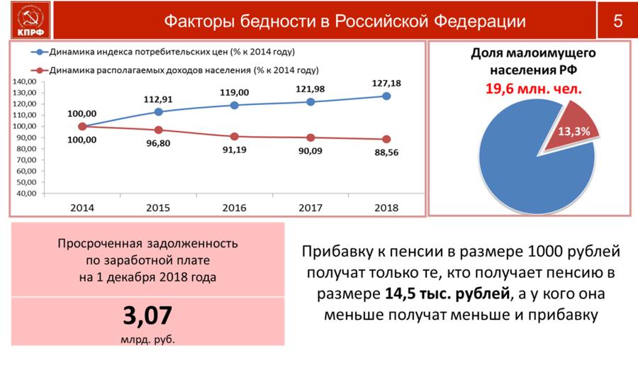В.И. Кашин: Остановить вымирание России