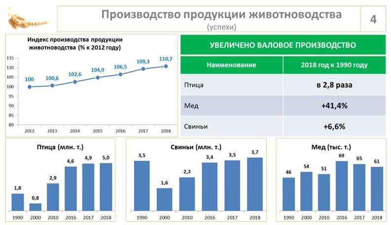 Доклад В.И. Кашина на Парламентских слушаниях в ГД ФС РФ