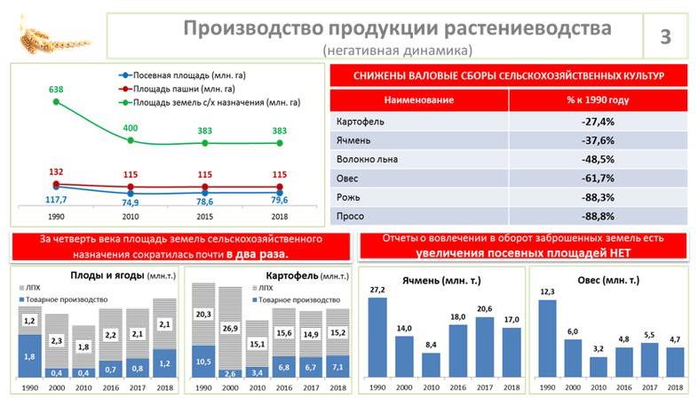 Доклад В.И. Кашина на Парламентских слушаниях в ГД ФС РФ