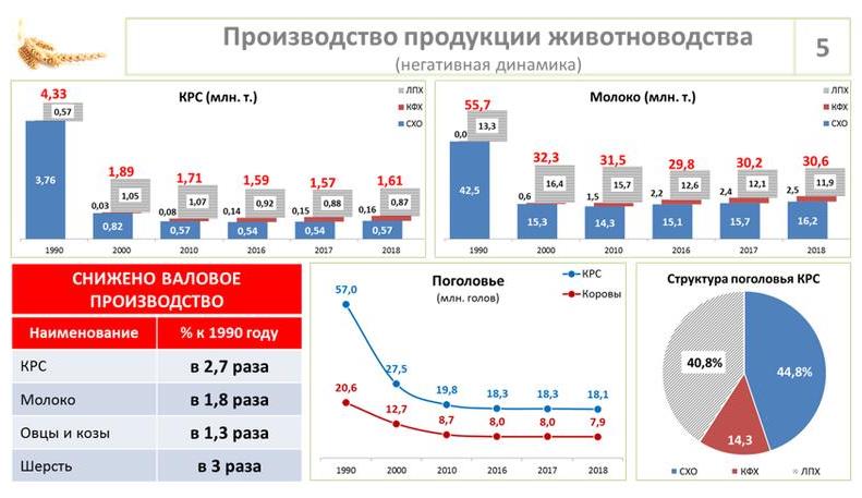 Доклад В.И. Кашина на Парламентских слушаниях в ГД ФС РФ