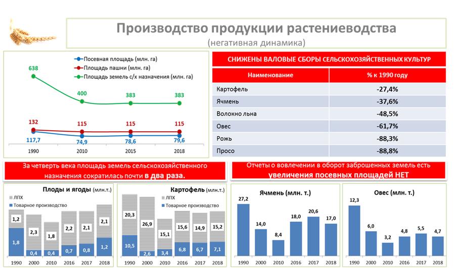 В.И. Кашин выступил на общем собрании членов Российской Академии наук отделения сельскохозяйственных наук