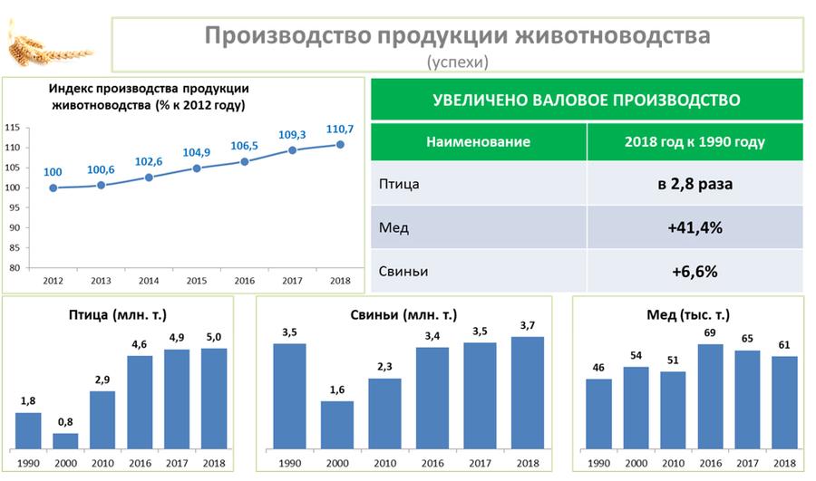 В.И. Кашин выступил на общем собрании членов Российской Академии наук отделения сельскохозяйственных наук